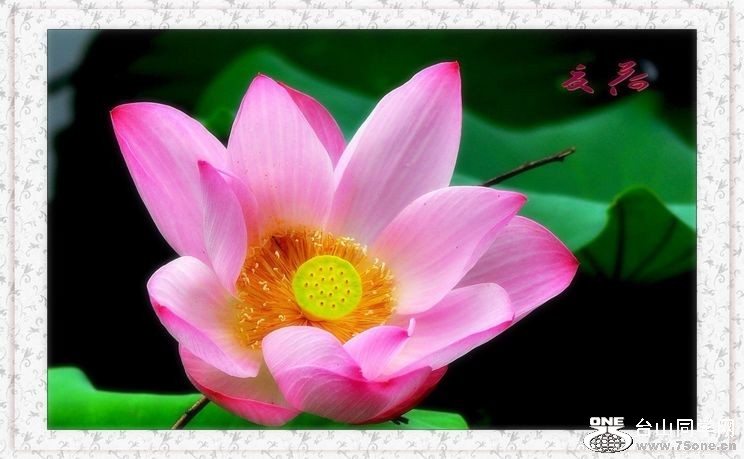 nEO_IMG_DSC_0064_conew1.jpg