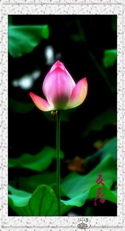 nEO_IMG_DSC_0208_conew1.jpg