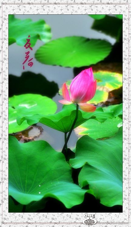 nEO_IMG_DSC_0205_conew1.jpg
