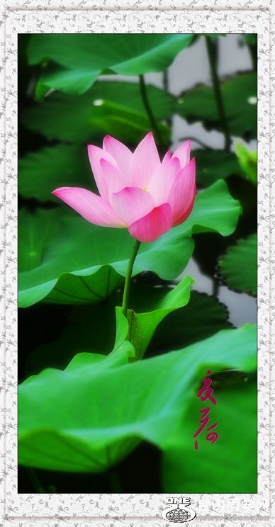 nEO_IMG_DSC_0338_conew1.jpg