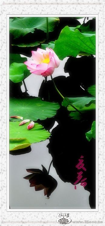 nEO_IMG_DSC_0019_conew1.jpg