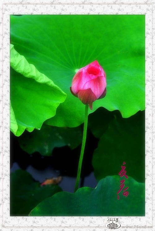 nEO_IMG_DSC_0088_conew1.jpg
