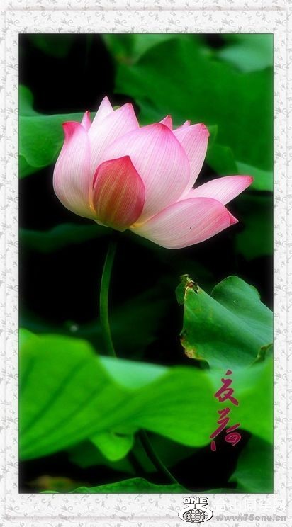 nEO_IMG_DSC_0033_conew1.jpg