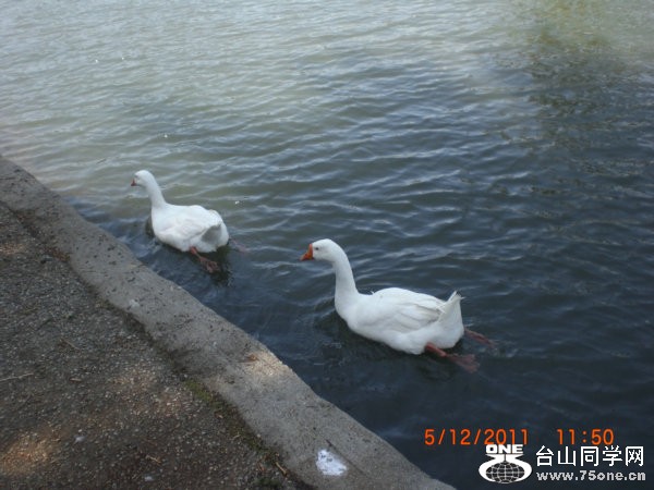 2011_05120133.JPG