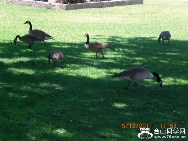 2011_05120139.JPG