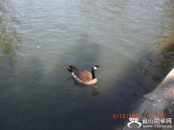 2011_05120204.JPG