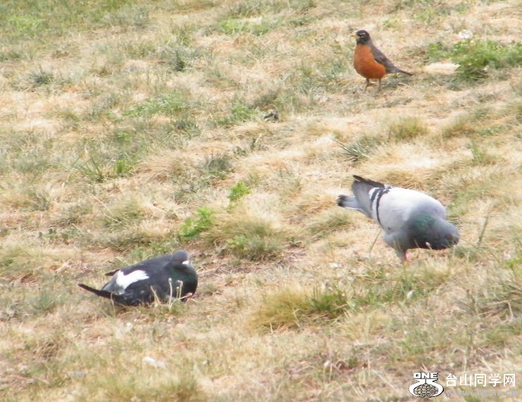 DSCF9445.JPG