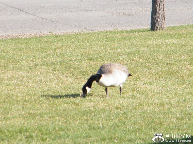 2011_0508desk0026.JPG