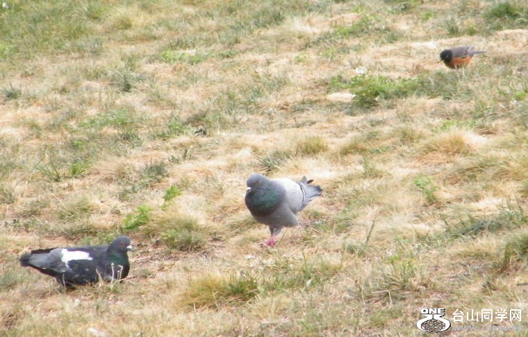 DSCF9444.JPG