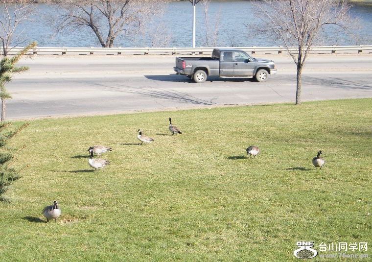 2011_0508desk0032.JPG
