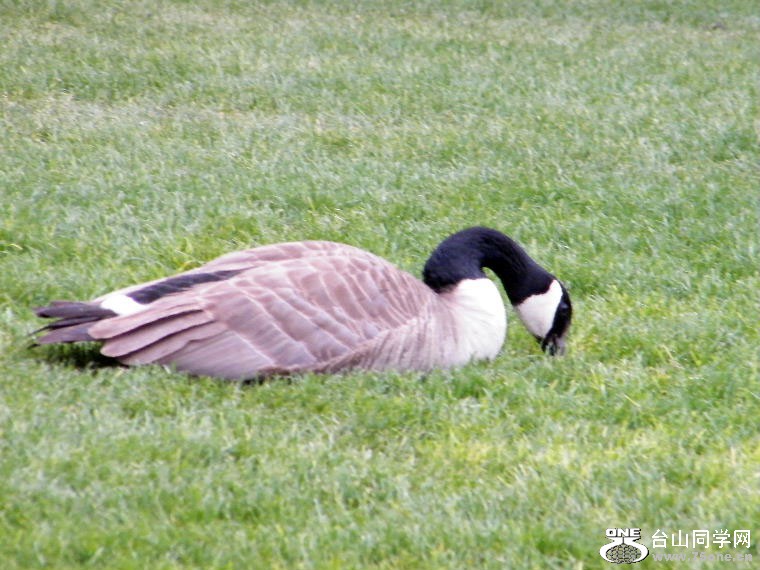 DSCF9410.JPG