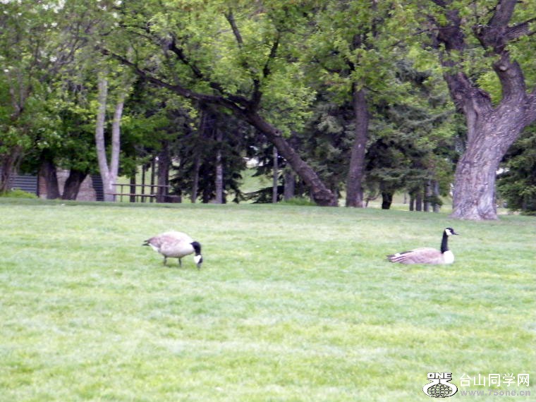 DSCF9408.JPG