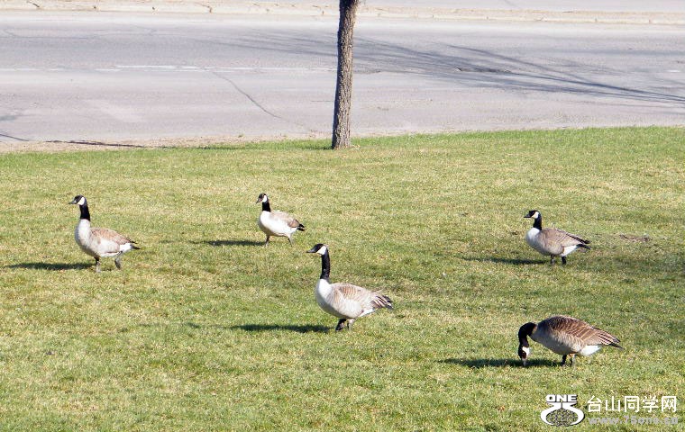 2011_0508desk0030=0.jpg