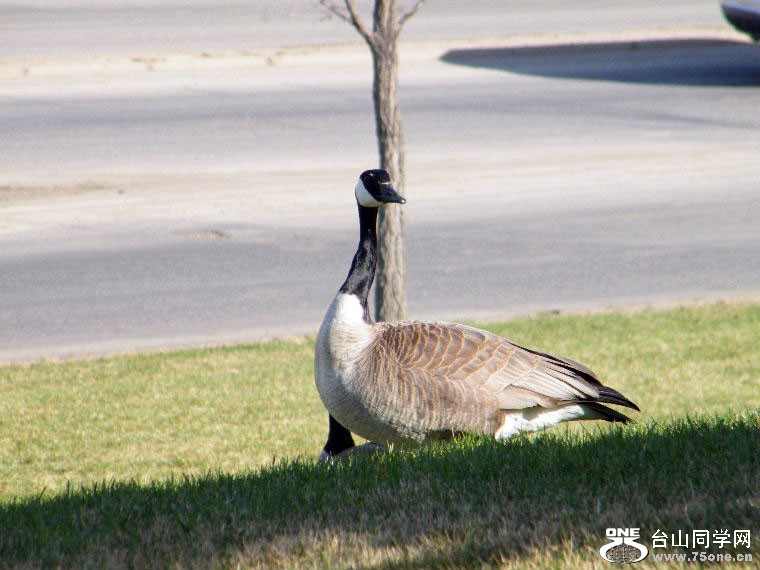 2011_0508desk0022=0.jpg