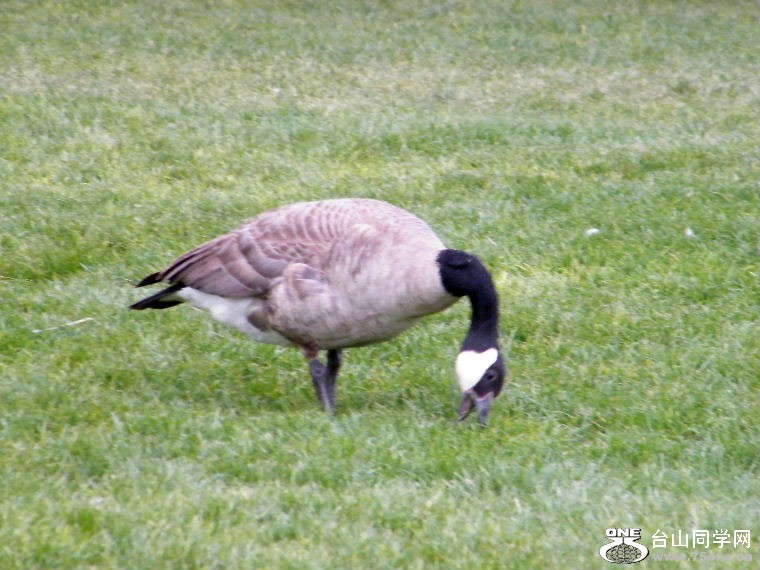 DSCF9409.JPG