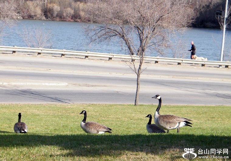 2011_0508desk0024=0.jpg