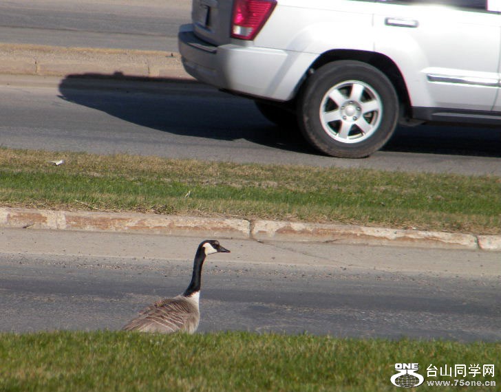 2011_0508desk0018=0.jpg