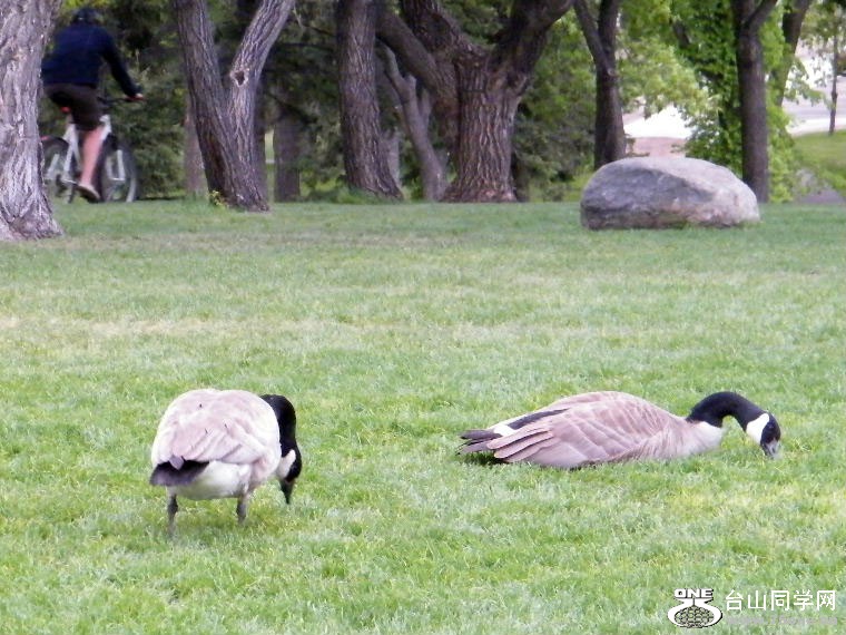 DSCF9411.JPG