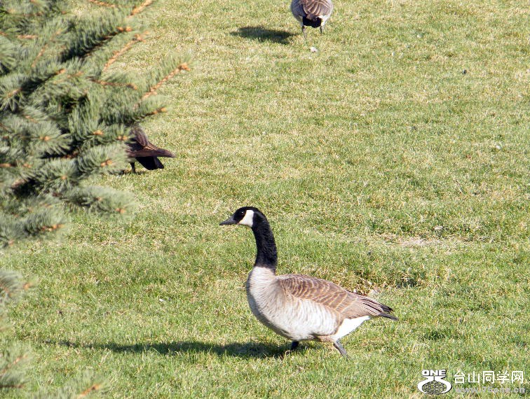 2011_0508desk0034=0.jpg