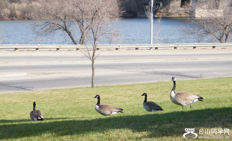 2011_0508desk0025.JPG