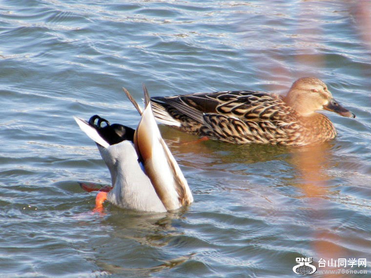 2011_0508desk0080=0.jpg