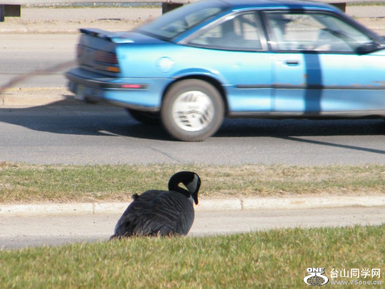 2011_0508desk0017.JPG
