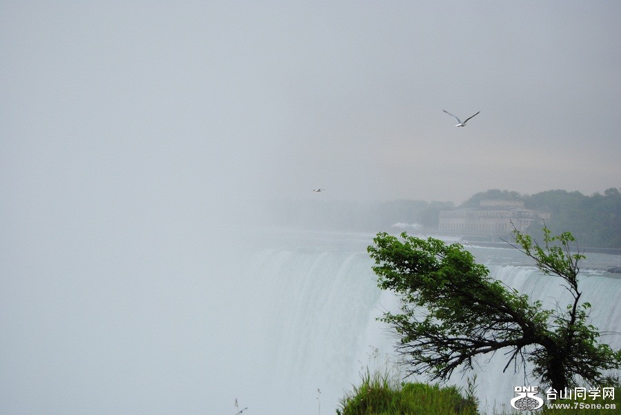 DSC_0417.JPG