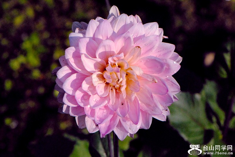 Picture 028_.jpg