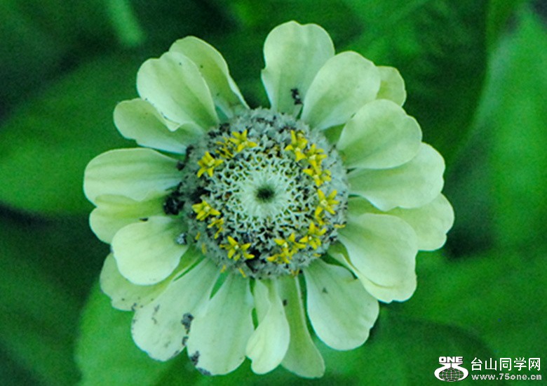 Picture 041_.jpg