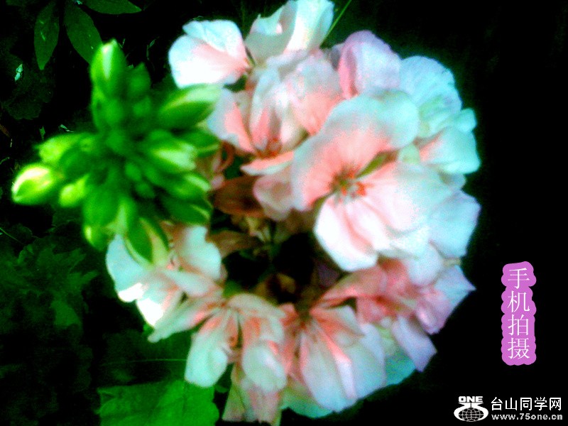 Picture 597_.jpg