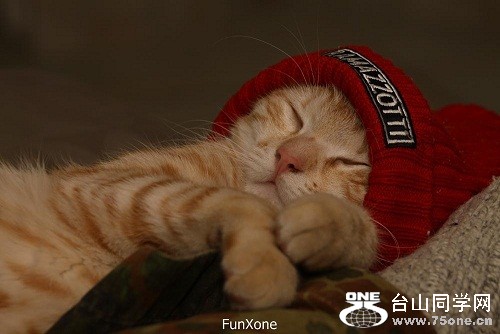 Sweet-Dreams-Sleep-Well-7[1].jpg