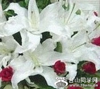 112_6319_fa703ea20a9966c-copy1.jpg