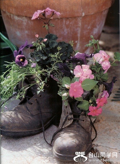 flower-boots[1].jpg