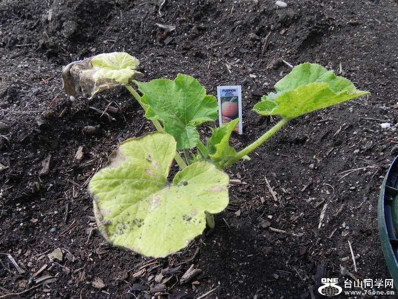 2010 304.jpg