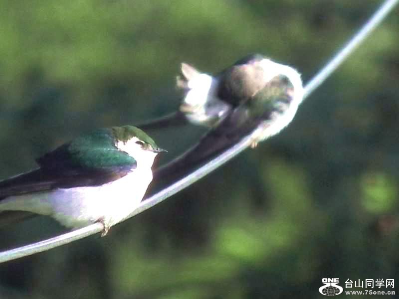 2010 150.jpg