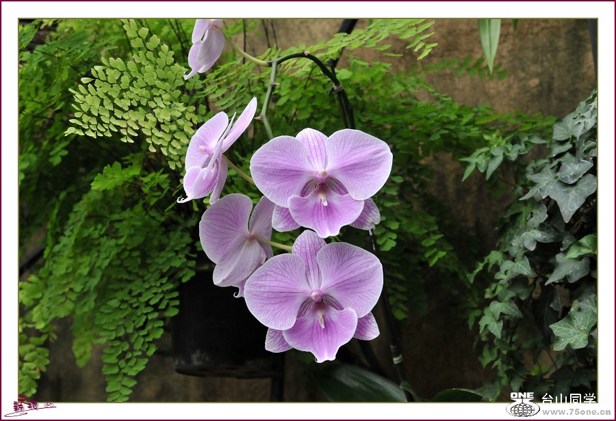 DSC_7584.jpg