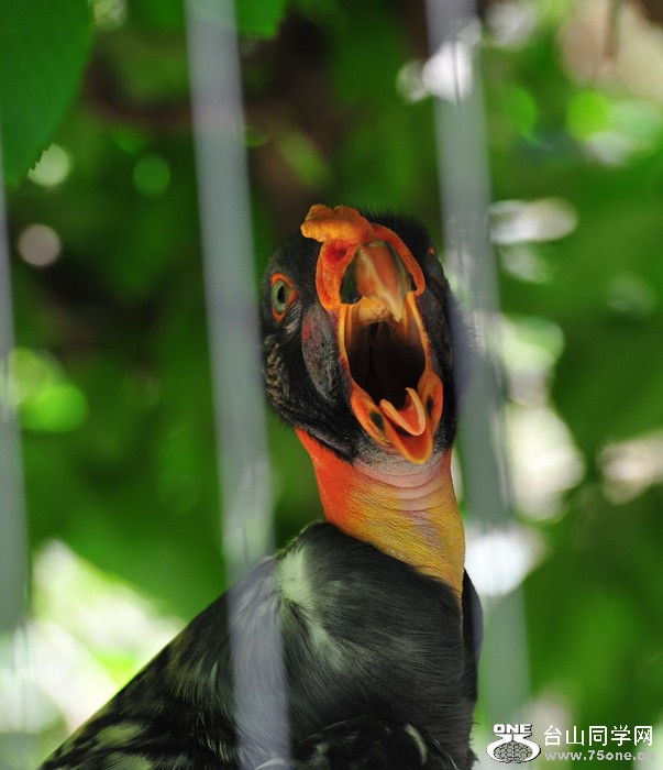 DSC_6894.jpg