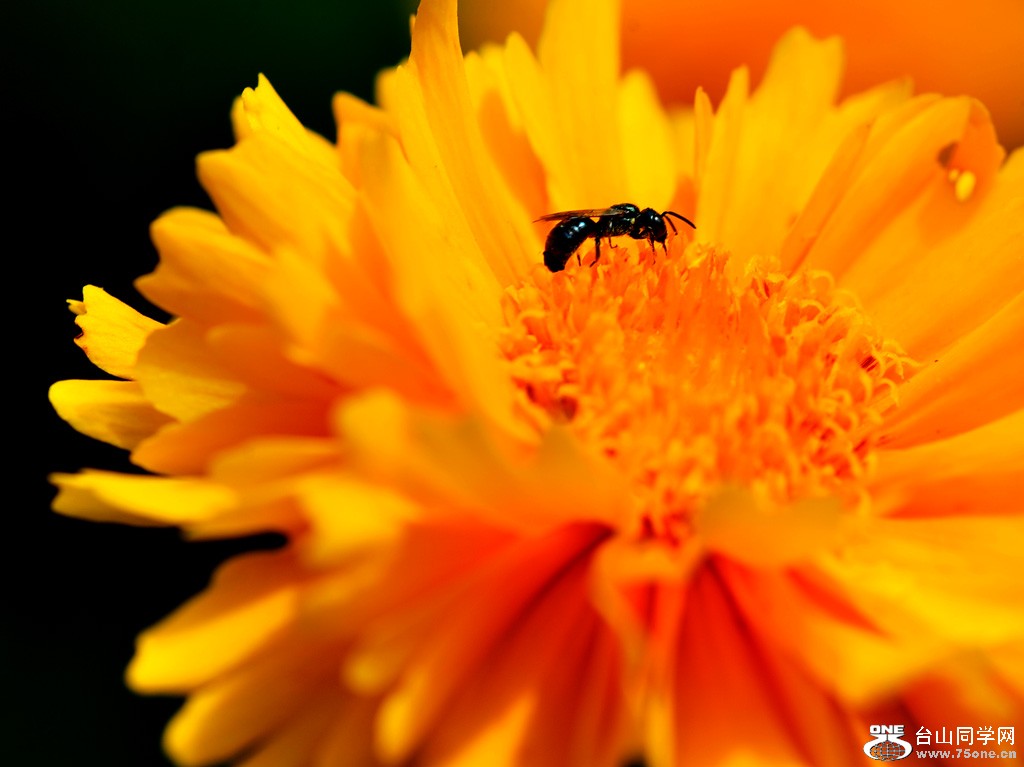 DSC_5486.jpg