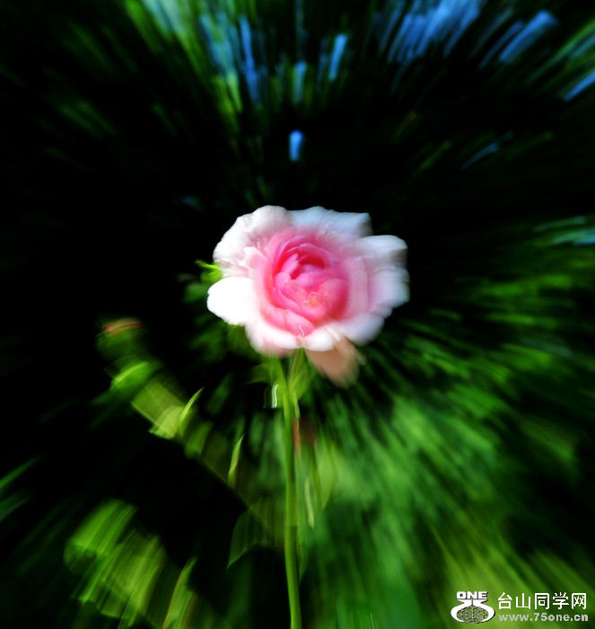 DSC_6342.jpg