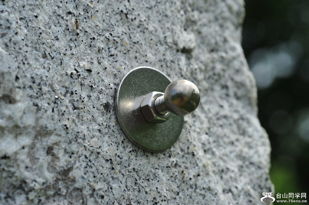 DSC_5593.jpg