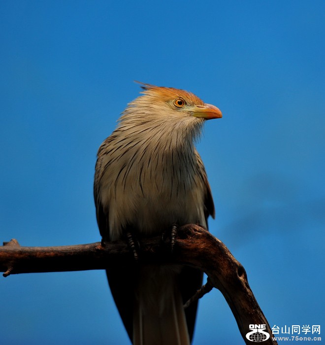 DSC_7251.jpg