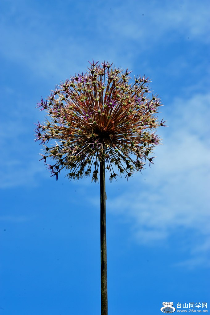 DSC_5513.jpg