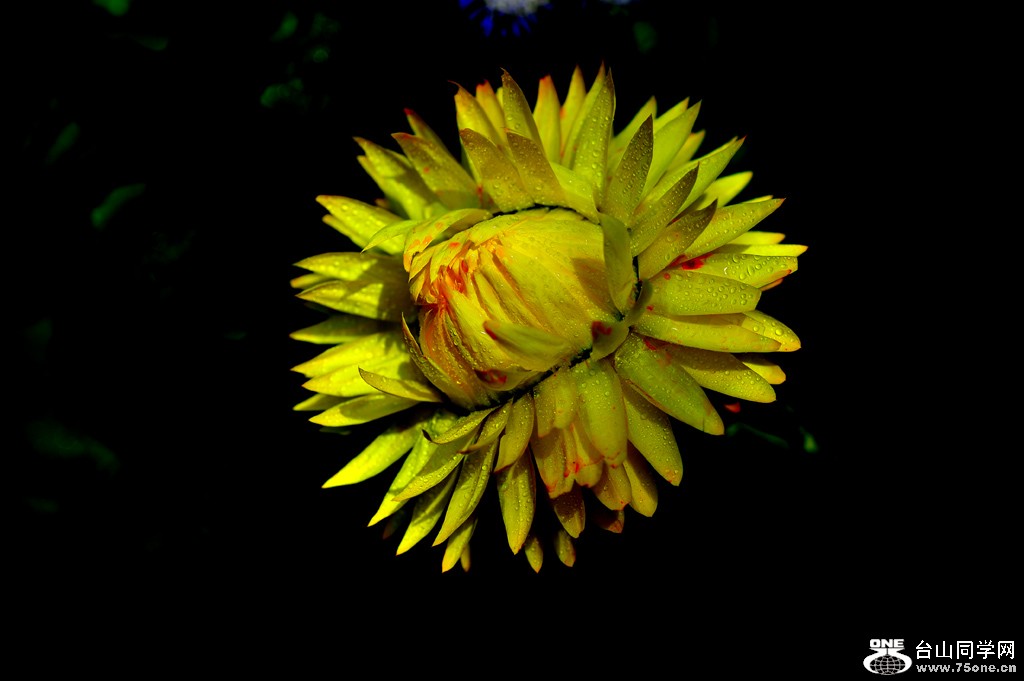 DSC_5478.jpg