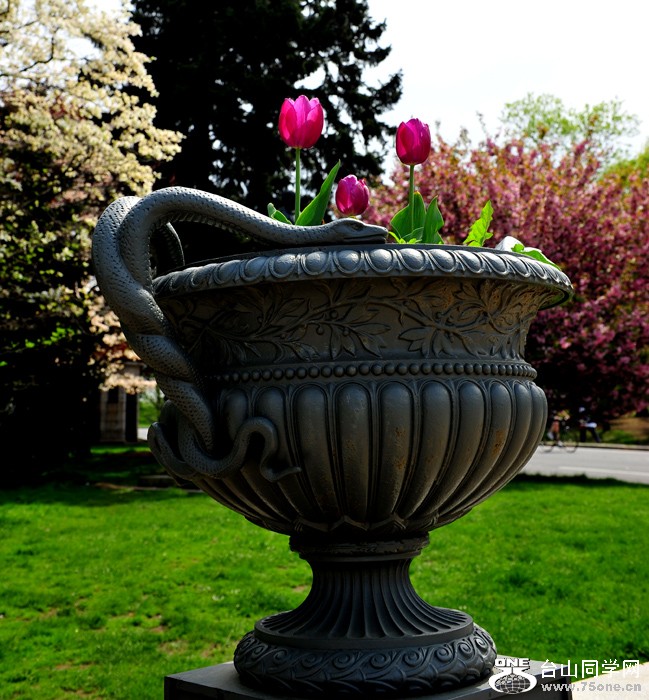 DSC_5126.jpg