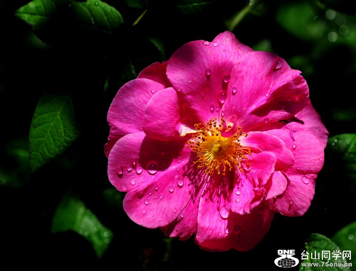 DSC_6235.jpg