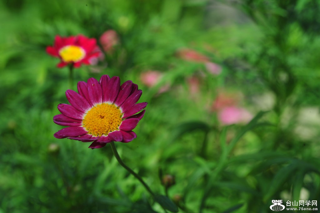 DSC_5506.jpg
