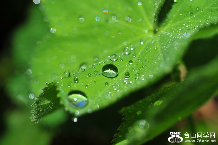 DSC_6257.jpg