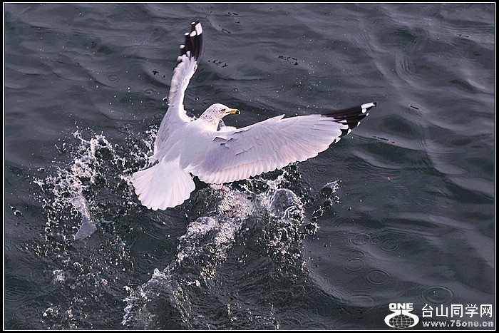 dsc_8092.jpg