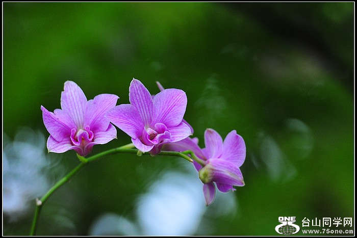 DSC_6389.JPG