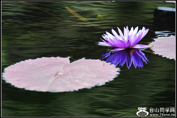 DSC_7718.JPG